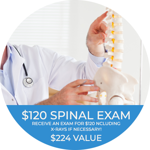 chiropractic exam special